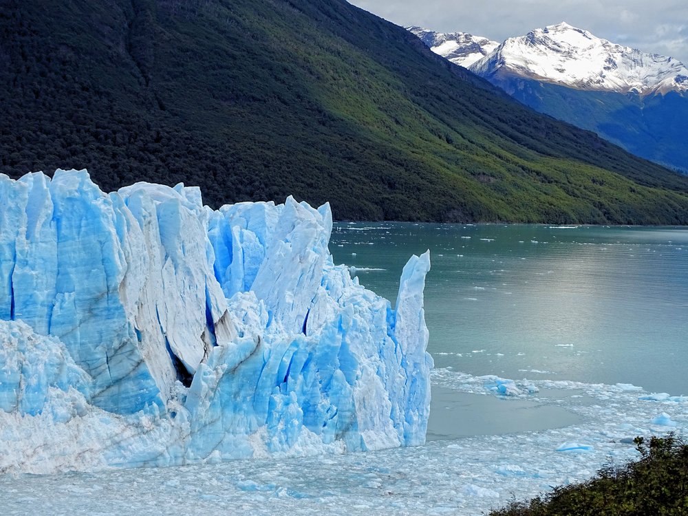 DSC02342GlacierInTheGreen.JPG