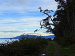 DSC01922TrailToFaroSanIsidro.JPG