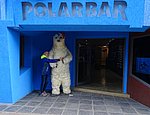 DSC02258CalafatePolarBar.JPG