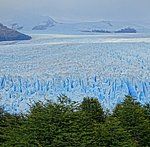 DSC02326ForestAndIce.JPG