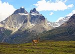 DSC03600SoAndean.JPG