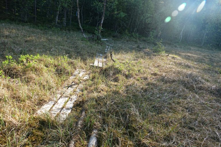 On the wettest parts of the trail, planks have been placed to reduce the risk of being swallowed by a bog.