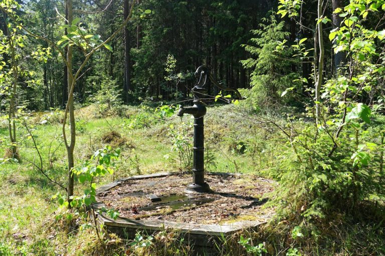 Amazingly, some century-old wells are still working, and a really nice change from the bog water.