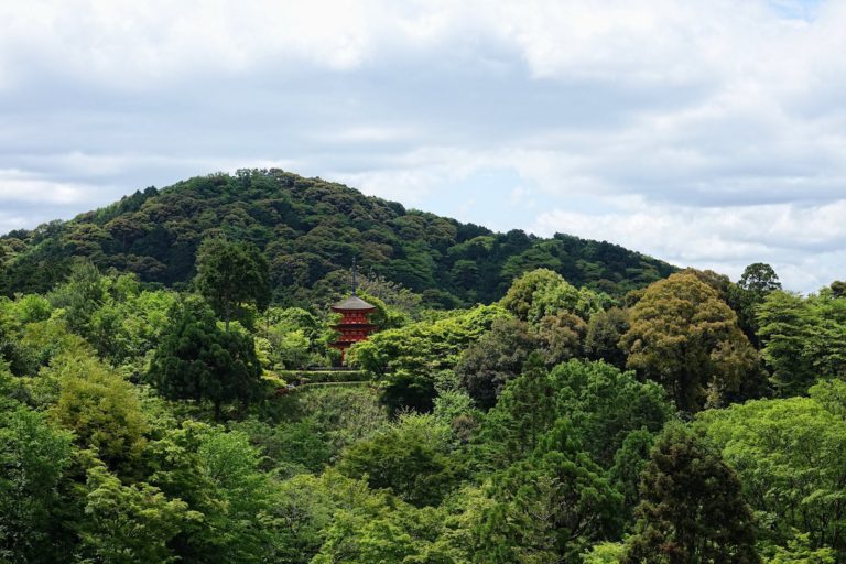 Red pagoda in green forest in Kyoto, Japan.