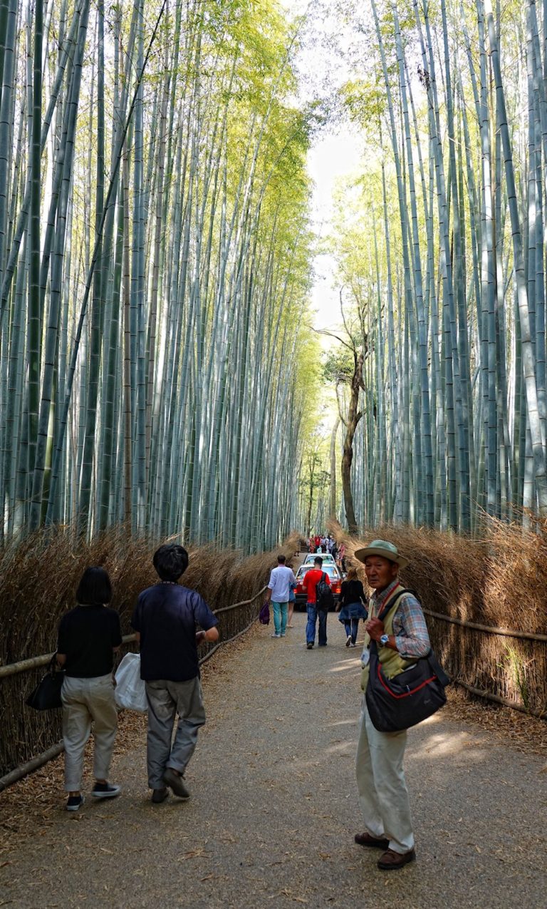 Tourism hell in Arashiyama Bamboo Grove.