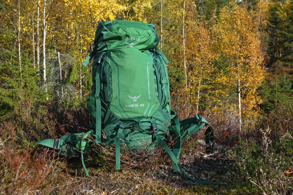 Backpack in a forest.