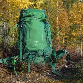 Backpack in a forest.