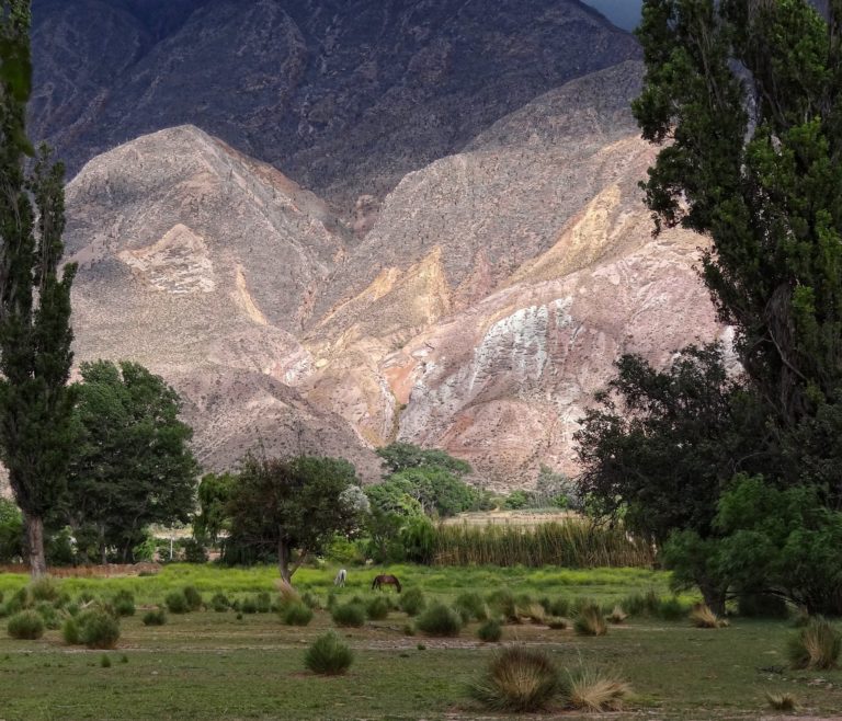 Horses grazing on the narrow strip of green land in the Rio Grande valley near Humahuaca in northern Argentina.