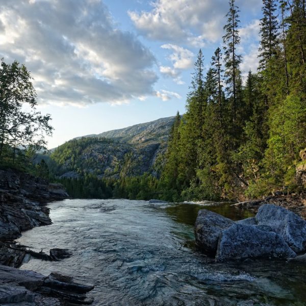 Norwegian nature at its best. River in Lomsdal-Visten national park.