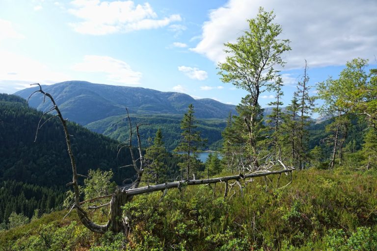 View from the trail between Børiøyra and Strompdalshytta.