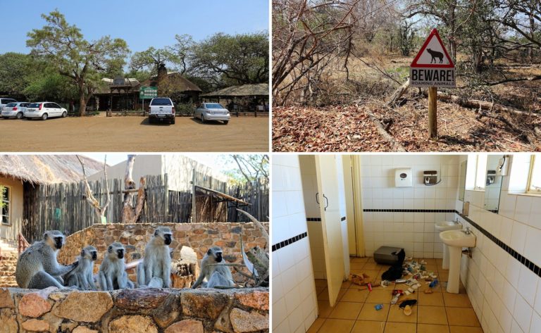 Photo of Afsaal, Tshokwane and Nkuhlu picnic sites in Kruger Park, South Africa.