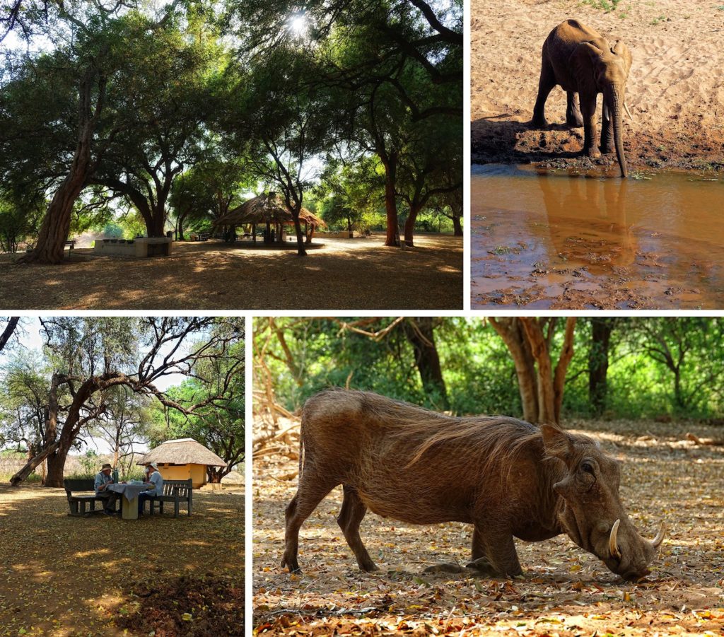 Photos of Pafuri picnic site in Kruger Park, South Africa.