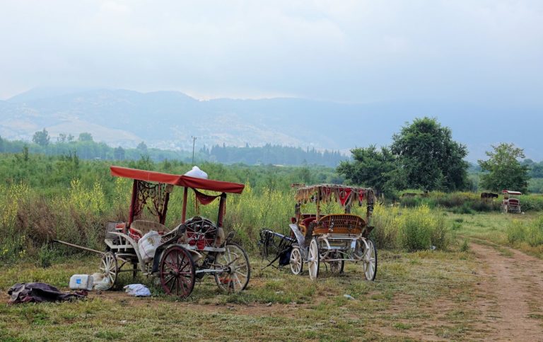 Photo of horse carts used to transport tourists between Selcuk and Ephesus, Turkey.