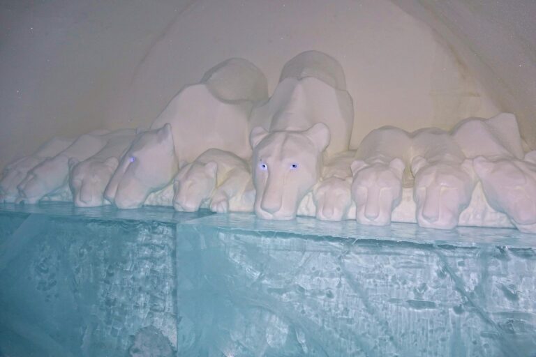 Photo of room Clear Water with lions at the Icehotel in Jukkasjärvi, Sweden.