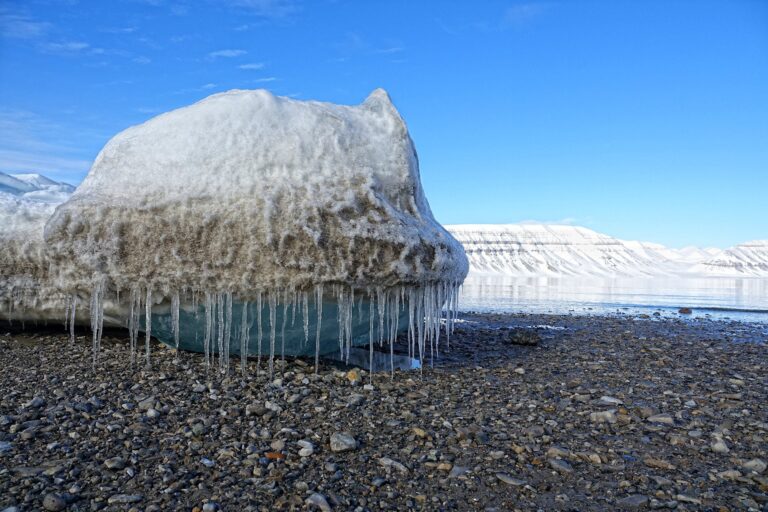 Photo of ice monster on the beach near Fredheim, Svalbard.