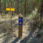 Photo of Caminho Portugues sign in an eucalyptus forest in Portugal.