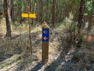 Photo of Caminho Portugues sign in an eucalyptus forest in Portugal.