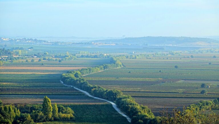 Photo of farmland near Santarem, Portugal.