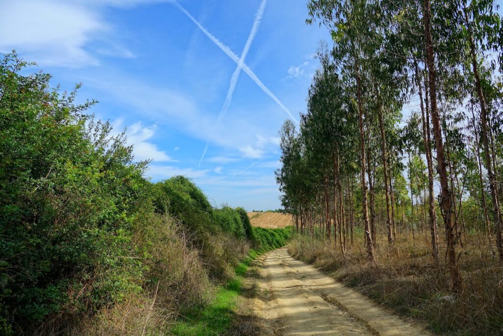 Photo of X in the sky, marking that this is not the way, above Camino de Santiago.