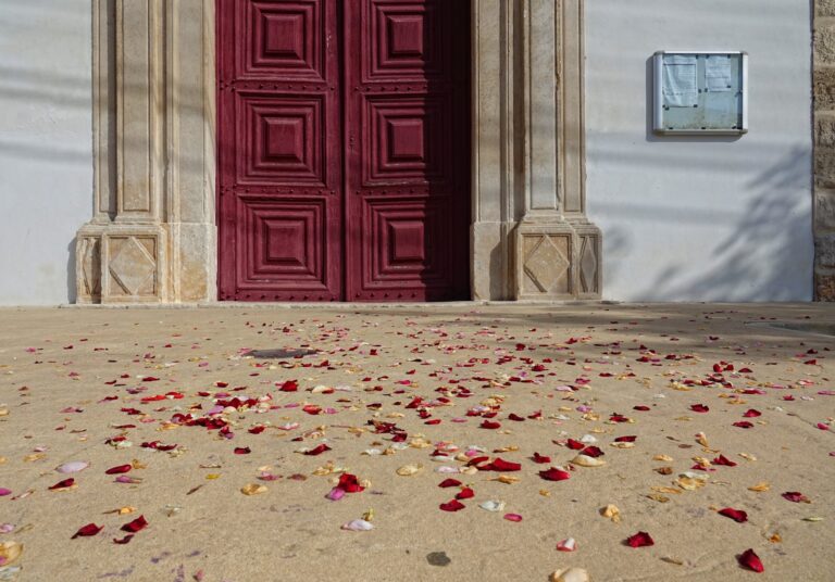 Photo of rose petals on the ground outside a church in Azinhaga, Portugal.