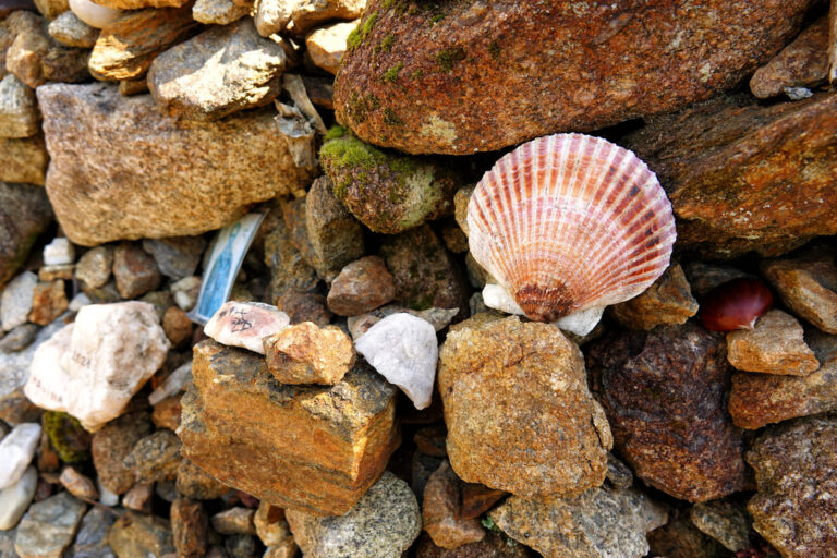 Photo of rocks and shell left behind by pilgrims on Caminho Portugues throughout the years.