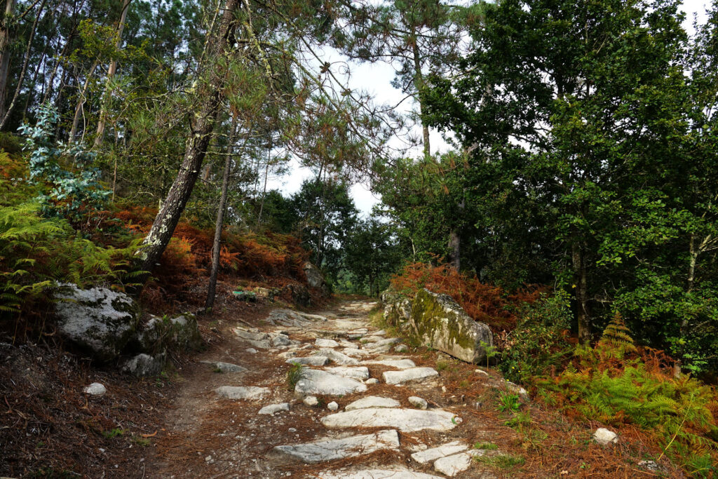Photo of a rough section of the Camino de Santiago in Galicia, Spain.