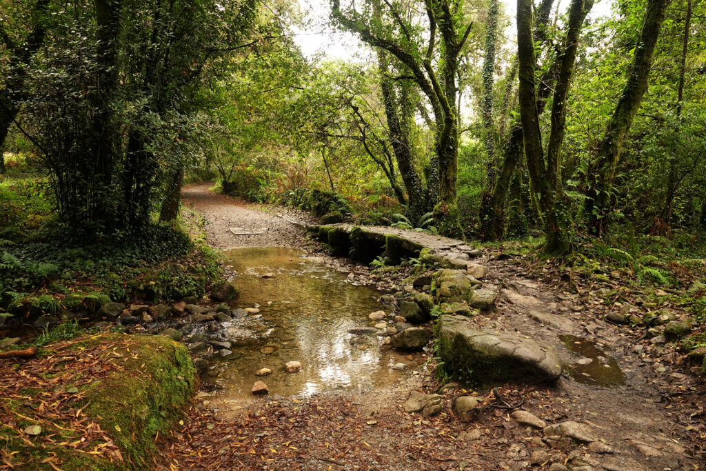 Photo of old stone bridge on the Camino de Santiago in the forest north of Pontevedra, Spain.