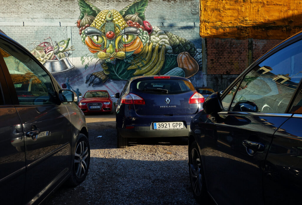 Photo of cat street art in Caldas de Reis, Spain.