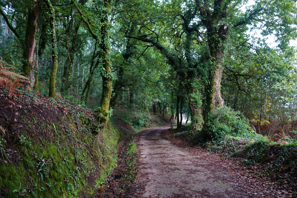 Photo of old Roman road turned into modern day Camino de Santiago in Galicia, Spain.