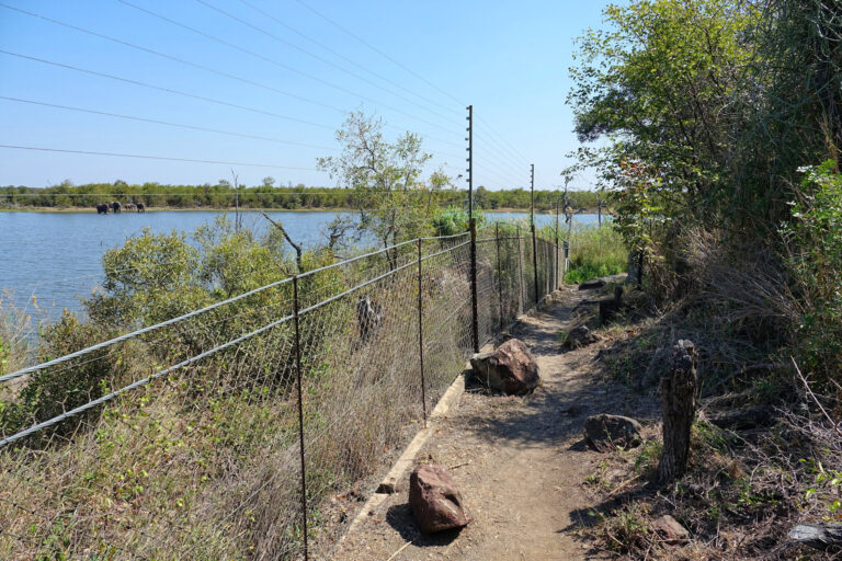 The hiking trail in Mopani Rest Camp, in Kruger National Park, South Africa.