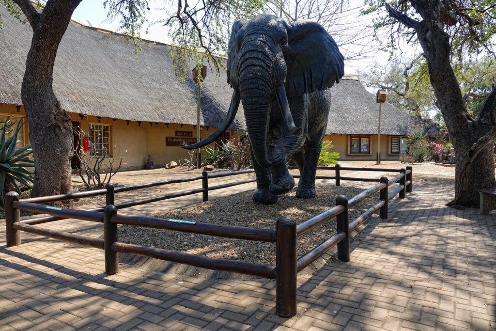 Statue outside Elephant Hall, a museum dedicated to elephants, in Letaba rest camp, Kruger National Park, South Africa.