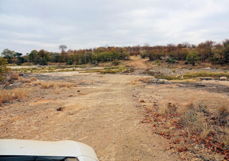 Photo of some rough road in Kruger National Park.