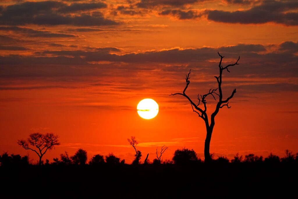 Photo of red African sunset.