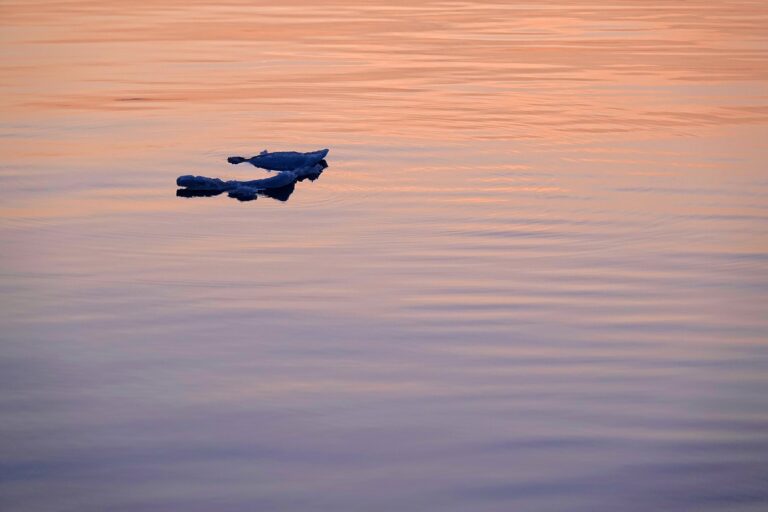 Photo of a tiny iceberg floating in Adventfjorden