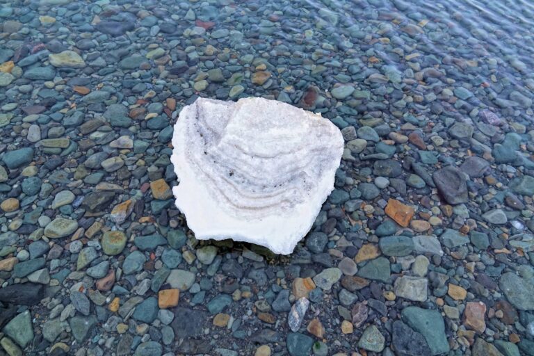 Photo of a piece of ice on the beach in Longyearbyen, Norway