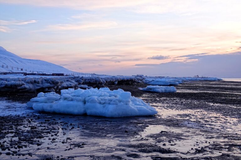 Photo of icebergs that got stuck on the beach in Longyearbyen, Svalbard